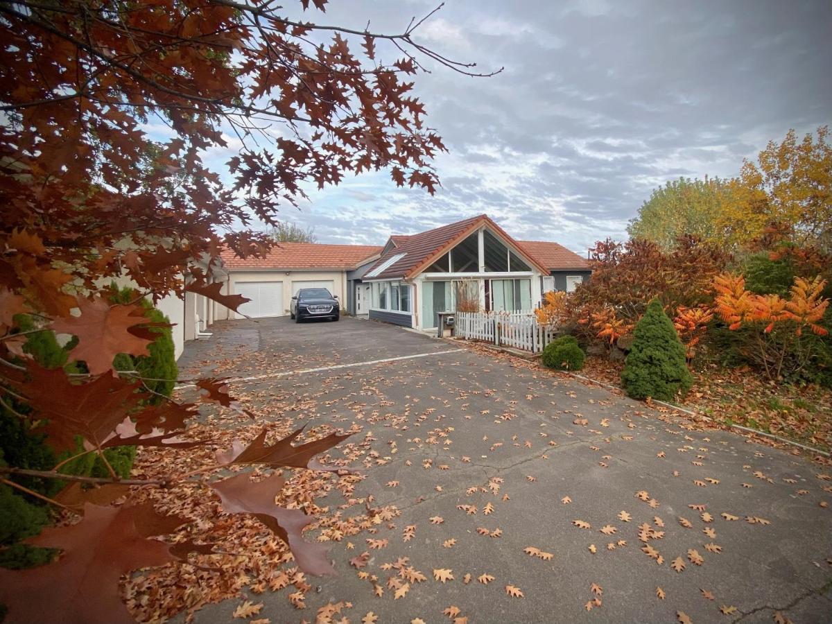 Villa 200M2 Avec Piscine Chauffee & Spa & Sauna & Kota-Grill Laval-sur-Vologne Eksteriør billede